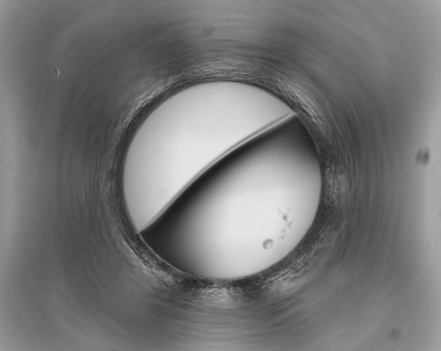 X0000096490404200801241215