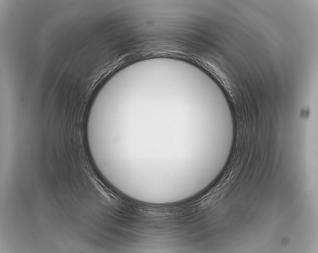X0000096490405200801241215