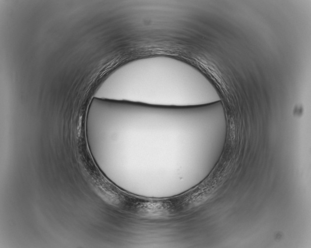 X0000096490406200801241215
