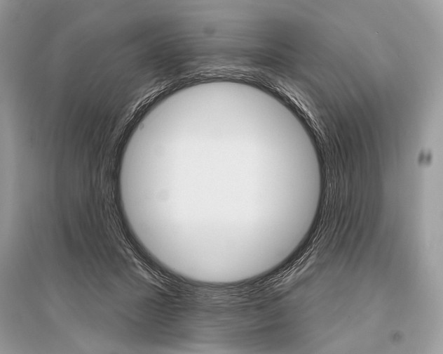 X0000096490407200801241215