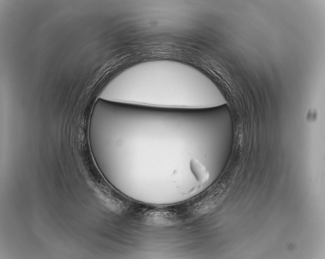 X0000096490408200801241215