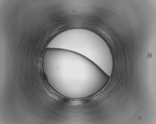 X0000096490409200801241215