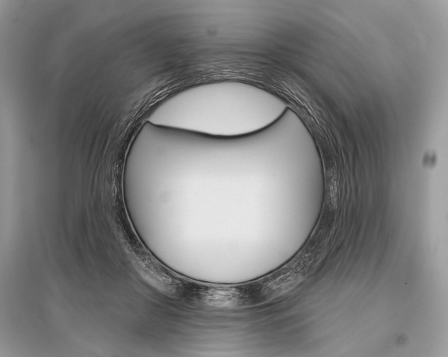 X0000096490410200801241215