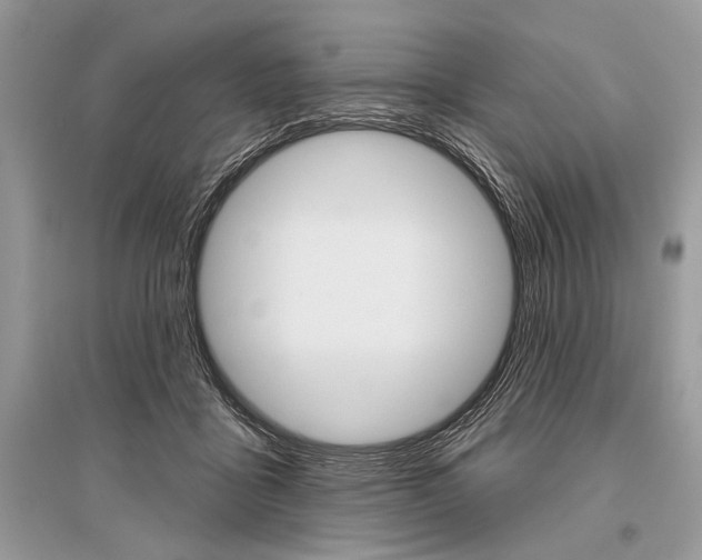 X0000096490411200801241215