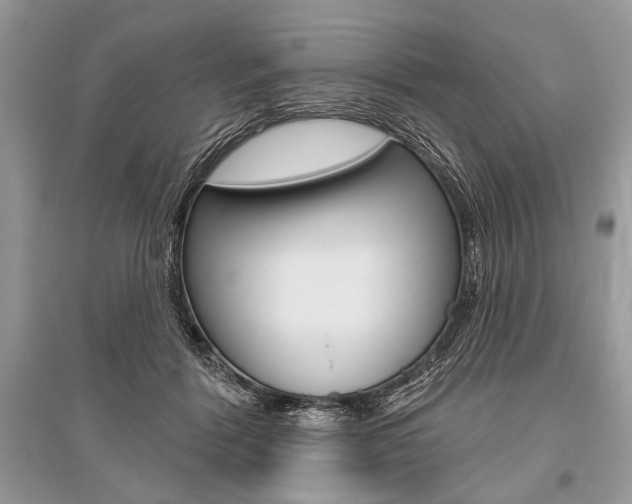 X0000096490412200801241215