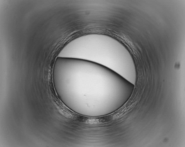 X0000096490413200801241215