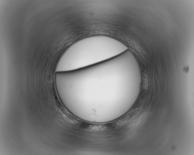 X0000096490414200801241215