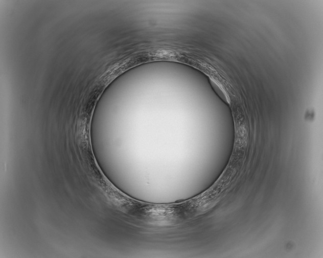 X0000096490415200801241215