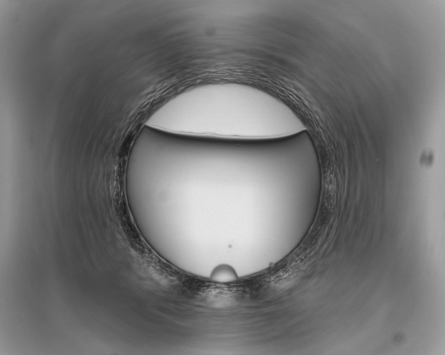 X0000096490416200801241215