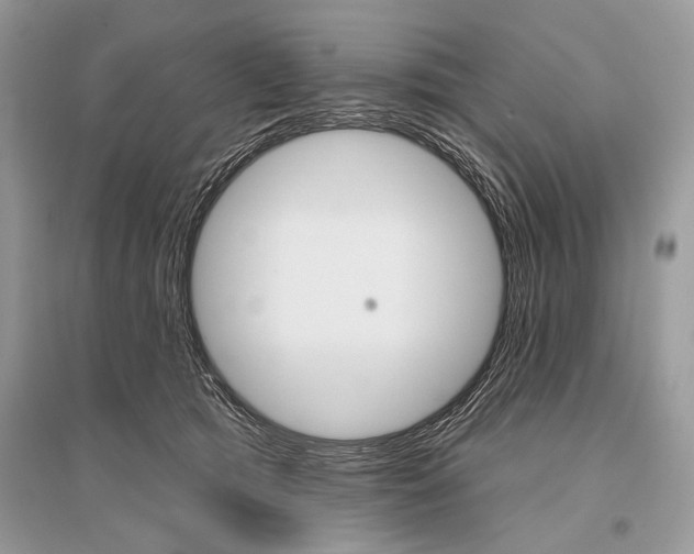 X0000096490417200801241215