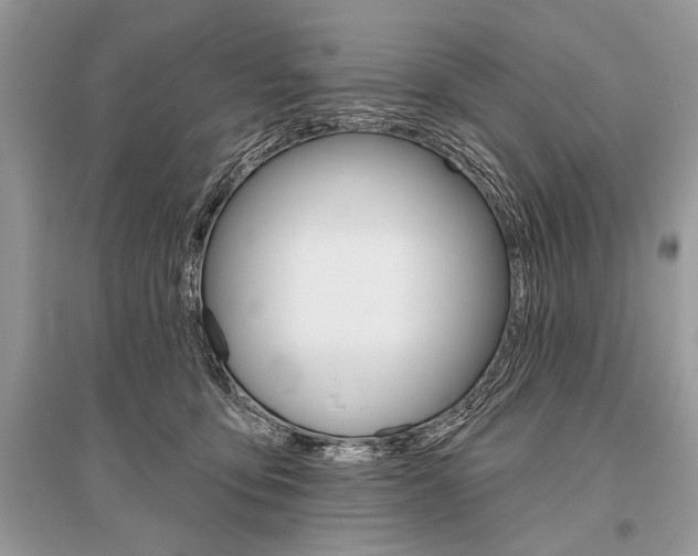X0000096490419200801241215