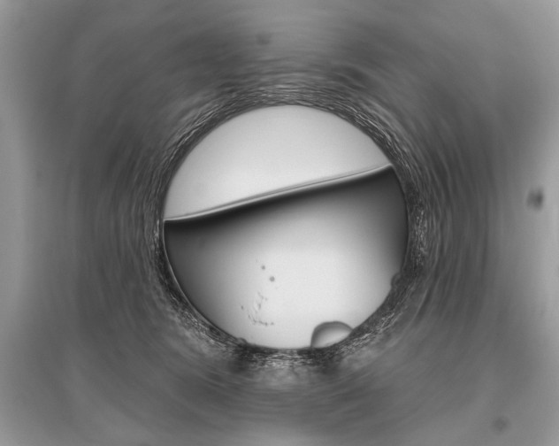 X0000096490420200801241215
