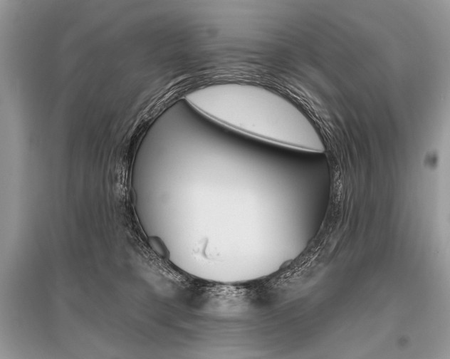 X0000096490421200801241215