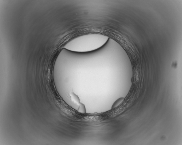 X0000096490422200801241215