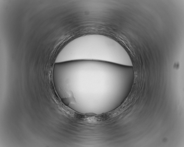 X0000096490423200801241215