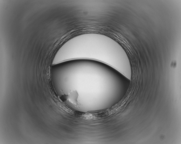 X0000096490425200801241215