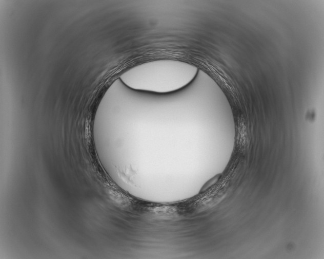 X0000096490426200801241215