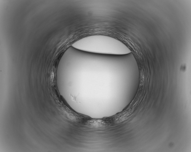X0000096490427200801241214