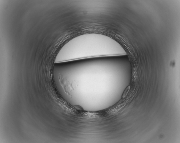X0000096490428200801241214