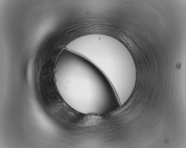 X0000096490429200801241214