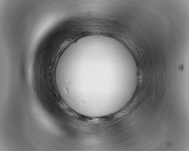 X0000096490430200801241214