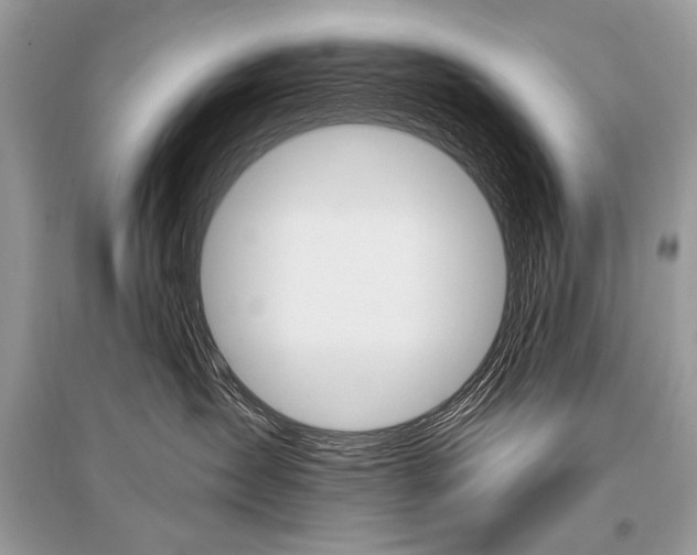 X0000096490431200801241214