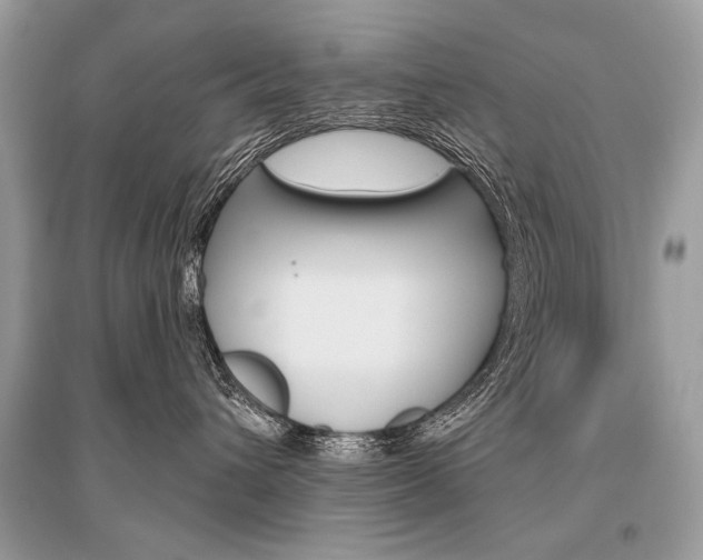 X0000096490432200801241214