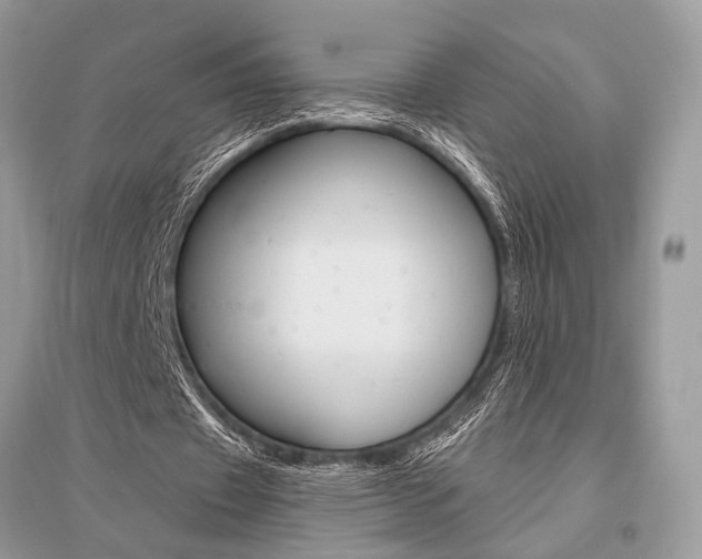 X0000096490433200801241214
