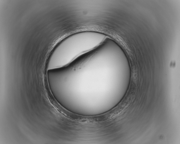 X0000096490434200801241214