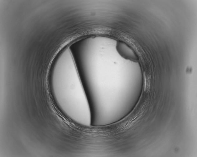 X0000096490435200801241214