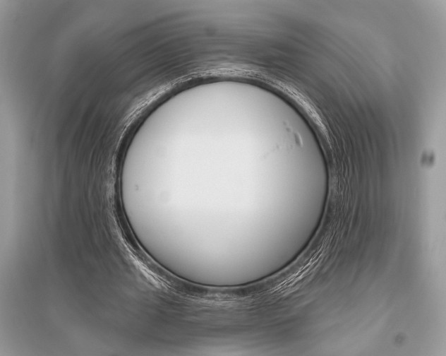 X0000096490437200801241214