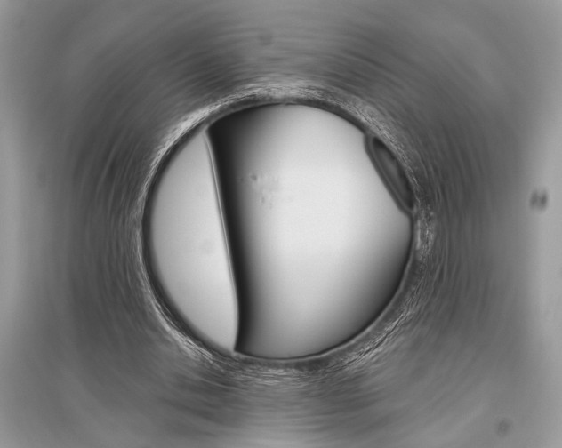 X0000096490438200801241214