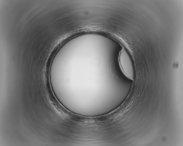 X0000096490439200801241214