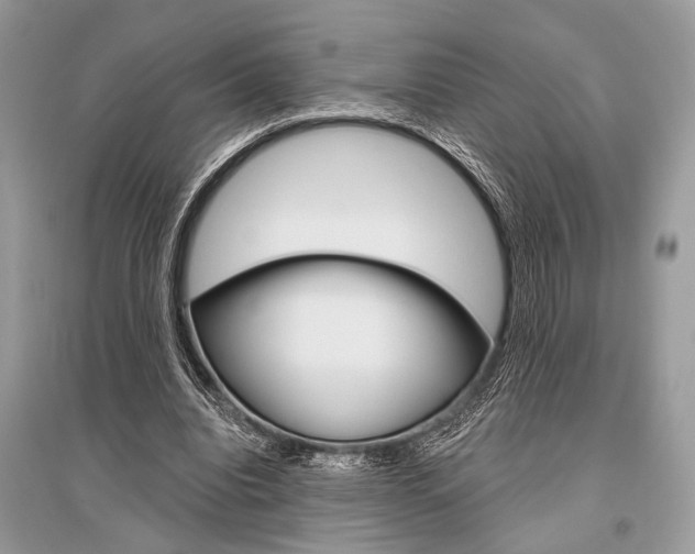 X0000096490440200801241214