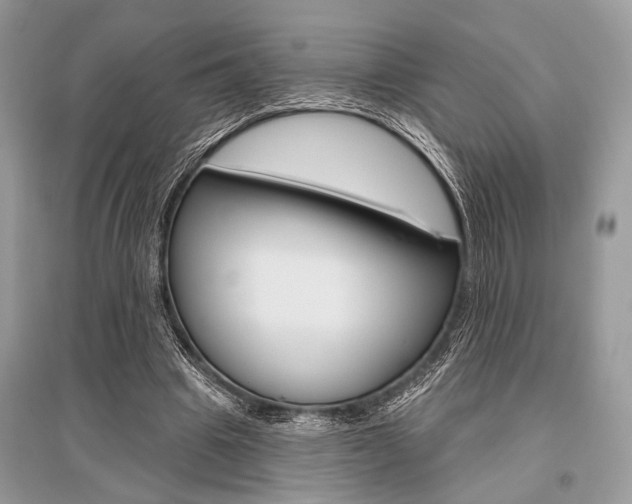 X0000096490441200801241214