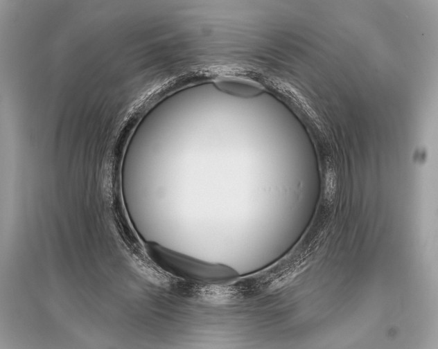 X0000096490444200801241214