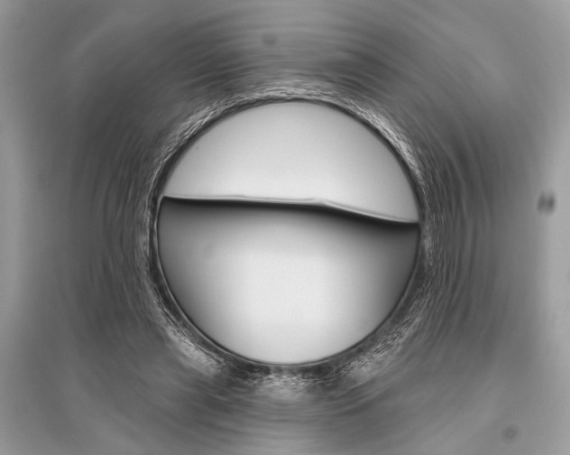 X0000096490445200801241214