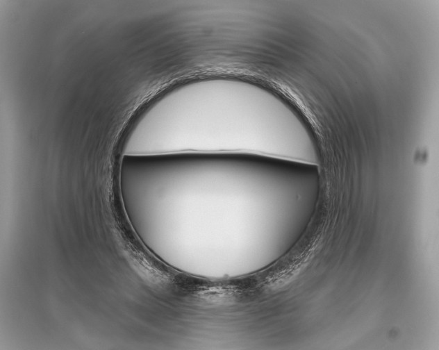 X0000096490447200801241214