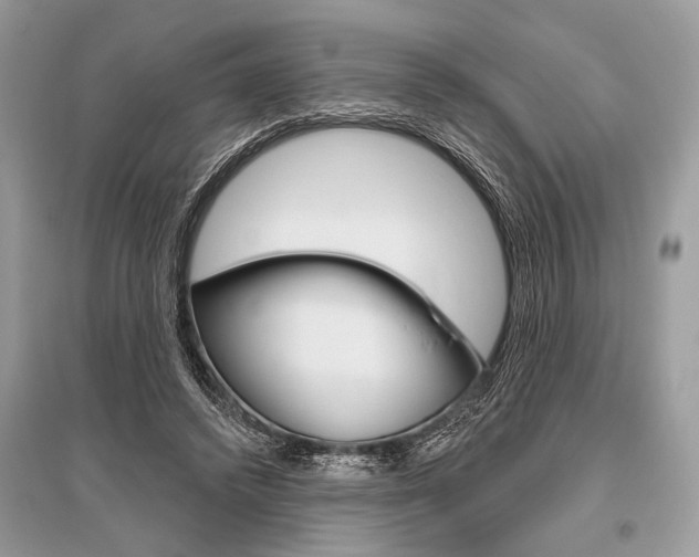 X0000096490448200801241214