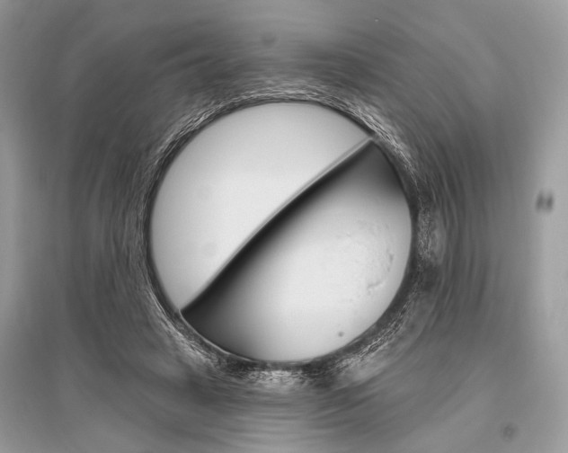 X0000096490449200801241214