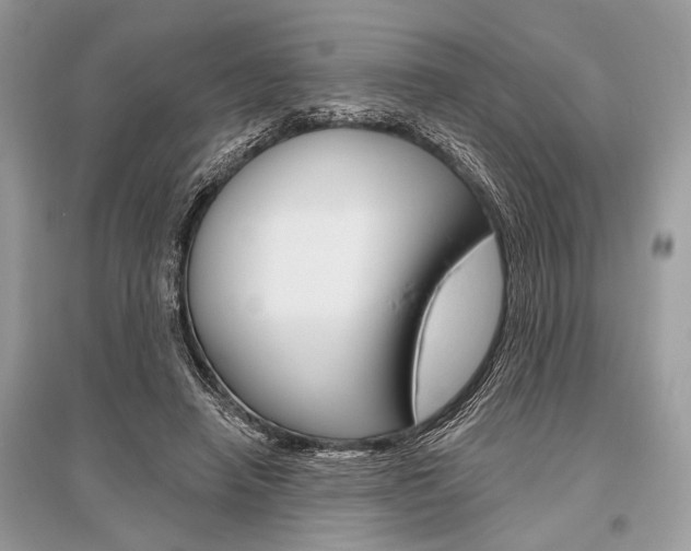 X0000096490450200801241214