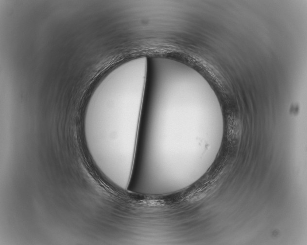 X0000096490451200801241214