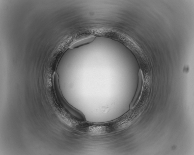 X0000096490452200801241214