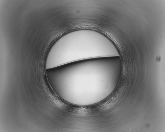 X0000096490453200801241214