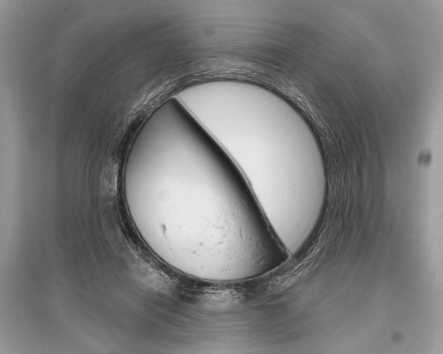 X0000096490454200801241214
