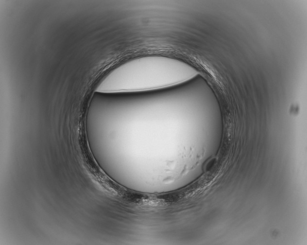 X0000096490455200801241214