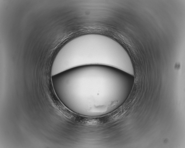 X0000096490456200801241214