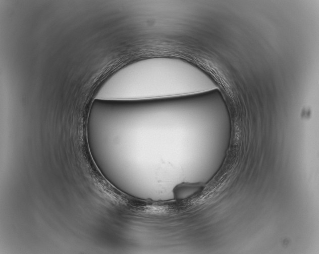 X0000096490457200801241214