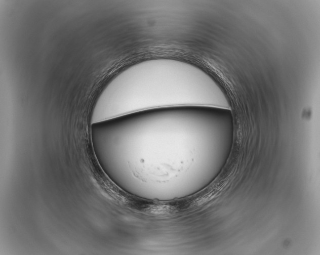 X0000096490459200801241214