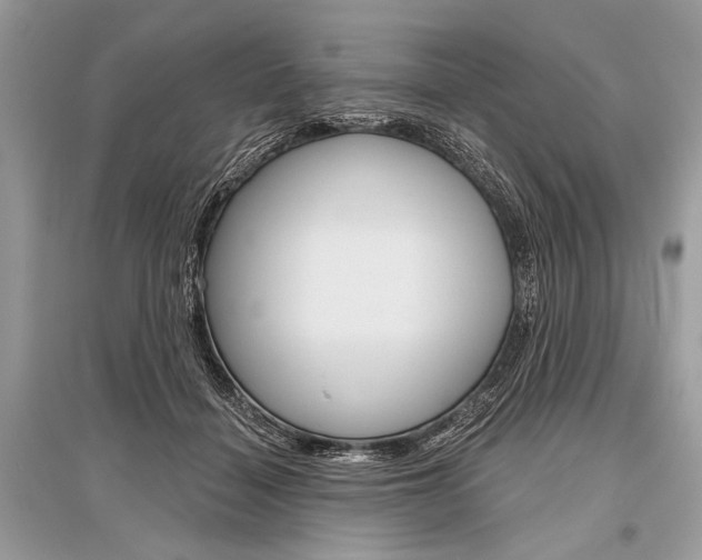 X0000096490460200801241214